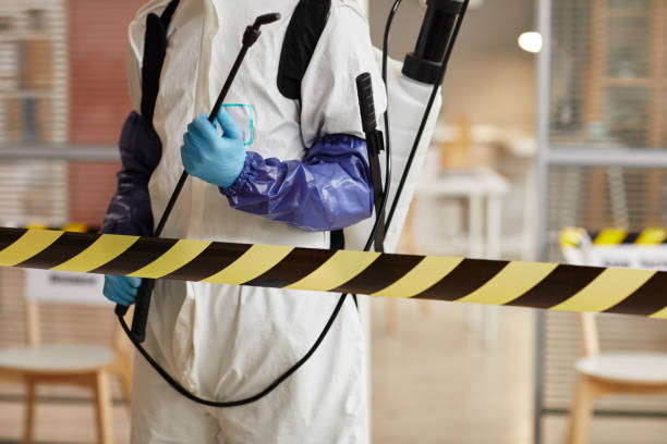 Professional Sewage Cleanup technician working in Banquete, TX